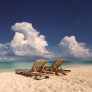 Paradise13468121276 Avatar